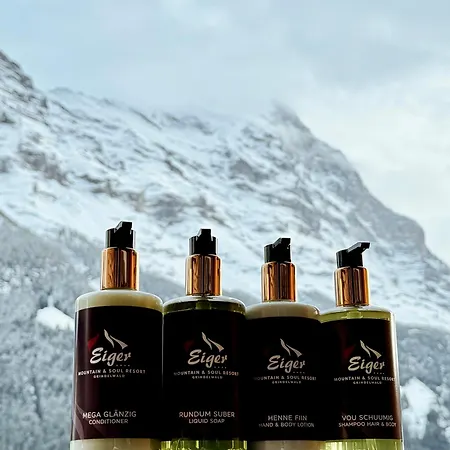 Eiger Selfness Hotel**** - Zeit Für Mich 4* Grindelwald